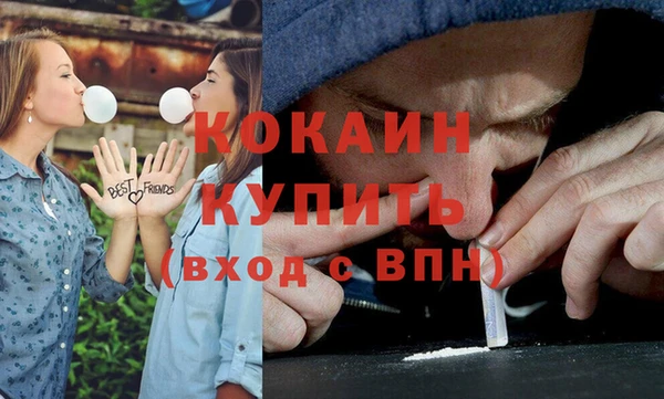 мдпв Вяземский
