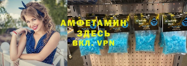 мдпв Вяземский