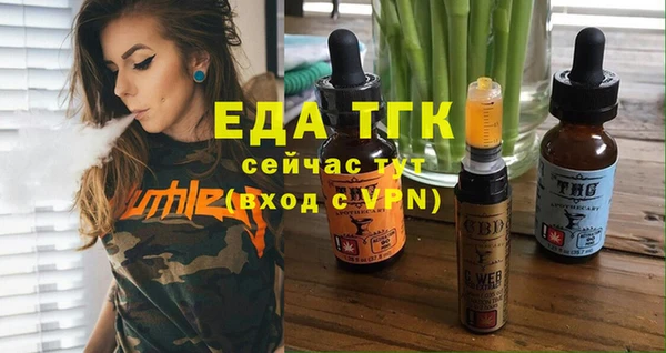 мдпв Вяземский
