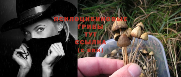 круглые Вязьма