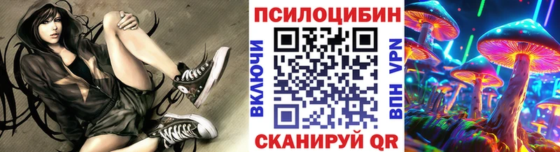 Псилоцибиновые грибы GOLDEN TEACHER  Купить закладки  Суровикино 