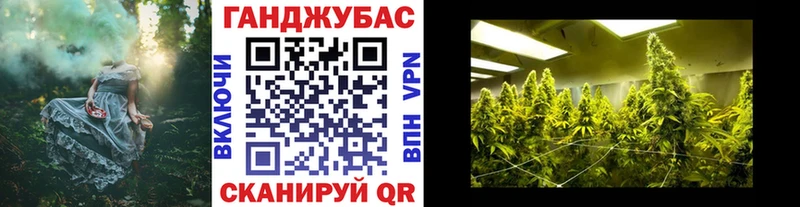 Купить закладки  Суровикино  Конопля Ganja 